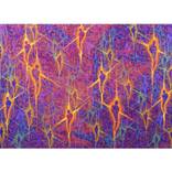 Collection "String Theory" Series 2005-2006