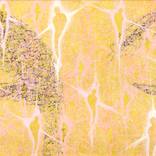 Collection "String Theory" Series 2005-2006