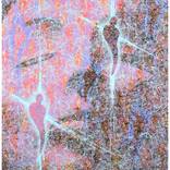 Collection "String Theory" Series 2005-2006