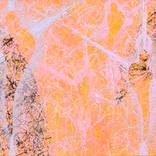 Collection "String Theory" Series 2005-2006