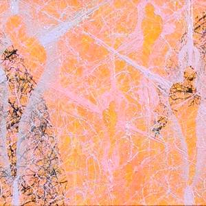 Collection "String Theory" Series 2005-2006