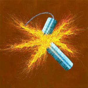 Collection "Hearts and Firecrackers"