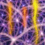 Collection "Presence" Series 2009-2012