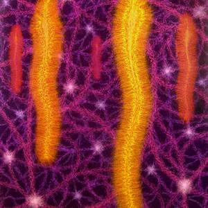 Collection "Presence" Series 2009-2012