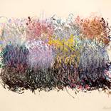 Collection "PREIMP" Series 