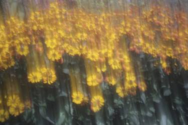 “Friends, Romans, Countrymen” (Homage to Steichen) - Limited Edition 1 of 8 thumb
