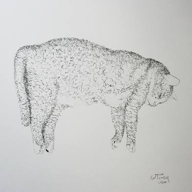Original Animal Drawings by William Mathieu