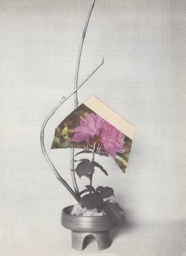 Original Abstract Floral Collage by Anna Bu Kliewer
