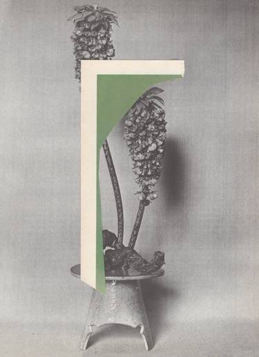Original Floral Collage by Anna Bu Kliewer
