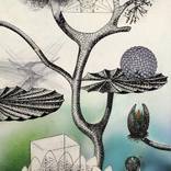 Axis Mundi by Zoi Pappa