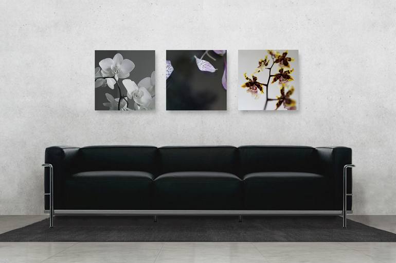 Original Abstract Still Life Photography by Vers Leblanc