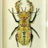 Collection Design Trend: Maximalism