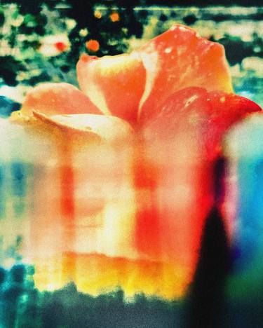 Print of Floral Photography by Jon Jacobsen