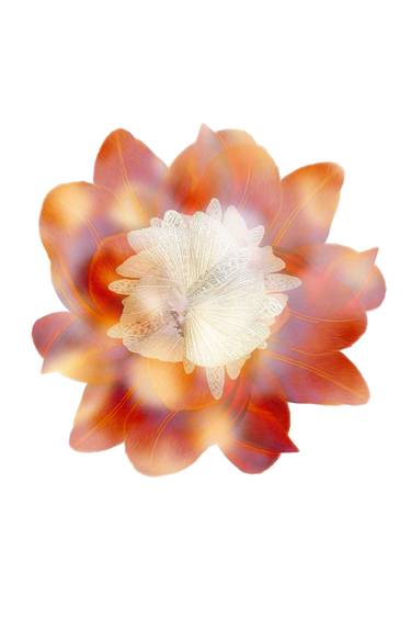 Original Minimalism Botanic Mixed Media by Agnieszka Nowinska