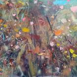Collection Landscapes & Abstracts