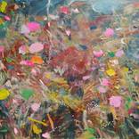 Collection Landscapes & Abstracts