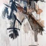 Collection animal art