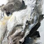 Collection animal art