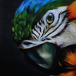 MACAW