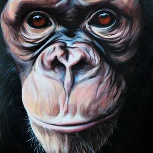 MONKEY
