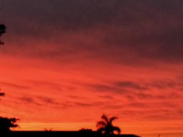 Orange Sunset Sky in Miami thumb
