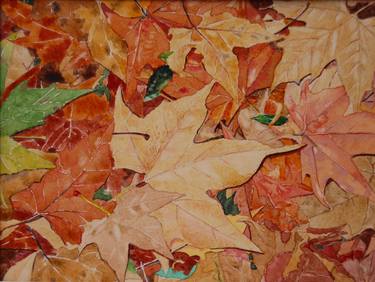 Original Nature Paintings by Ashley Haigh