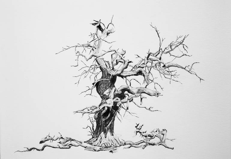 broken tree drawing