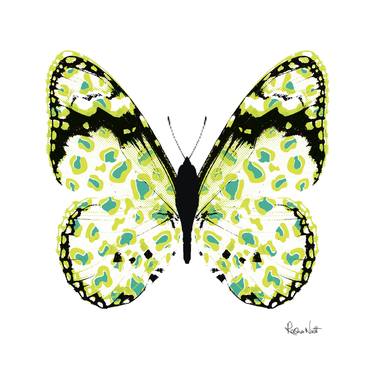 Lime Green Leopard Butterfly - Limited Edition of 1 thumb