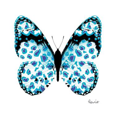Blue & Turquoise Leopard Butterfly - Limited Edition of 1 thumb