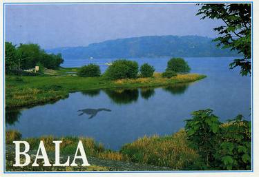 Bala postcard thumb