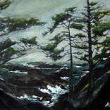 Collection  PAINTINGS