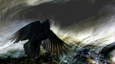 The Plight of the raven thumb