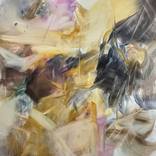 The Second Order of Imaginary Things by Peggy Cozzi