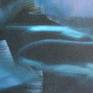 detail 2