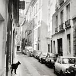 Collection Black and White Classics