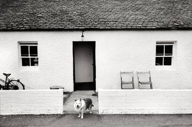 Print of Dogs Photography by Peter Rodger