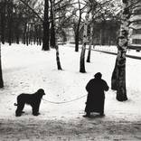 Collection Spot The Dog and Spot the Cat