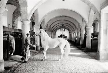 Print of Documentary Horse Photography by Peter Rodger