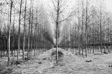 Original Landscape Photography by Peter Rodger