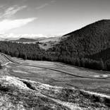 Collection Landscapes