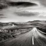 Collection Landscapes