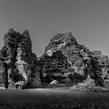 Desert 006, Single Tree, Neom, Saudi Arabia: Black & White by Peter Rodger