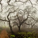 Malibu After The Fires - Limited edition of 10 by Peter Rodger