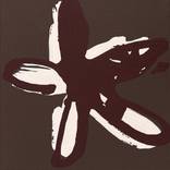 FLOWER IN BLOOM N.03 by Monica Bonzano