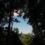 Natura's Window by cheryl Romna Linette Green