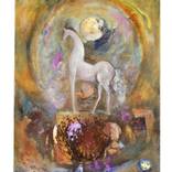 Collection Equus