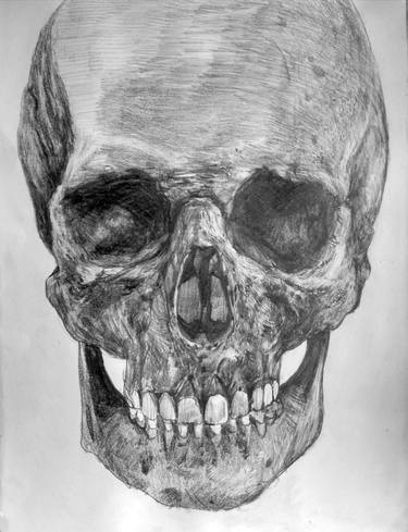 Print of Mortality Drawings by emiliano dalmau