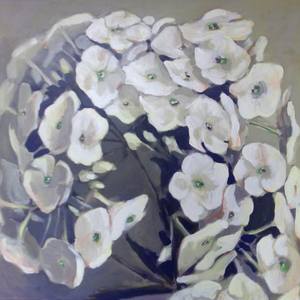 Collection White flower paintings