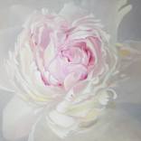 Softly, softly by Kamille Saabre
