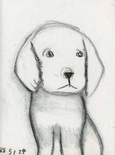 Original Expressionism Dogs Drawings by Helen Sykes